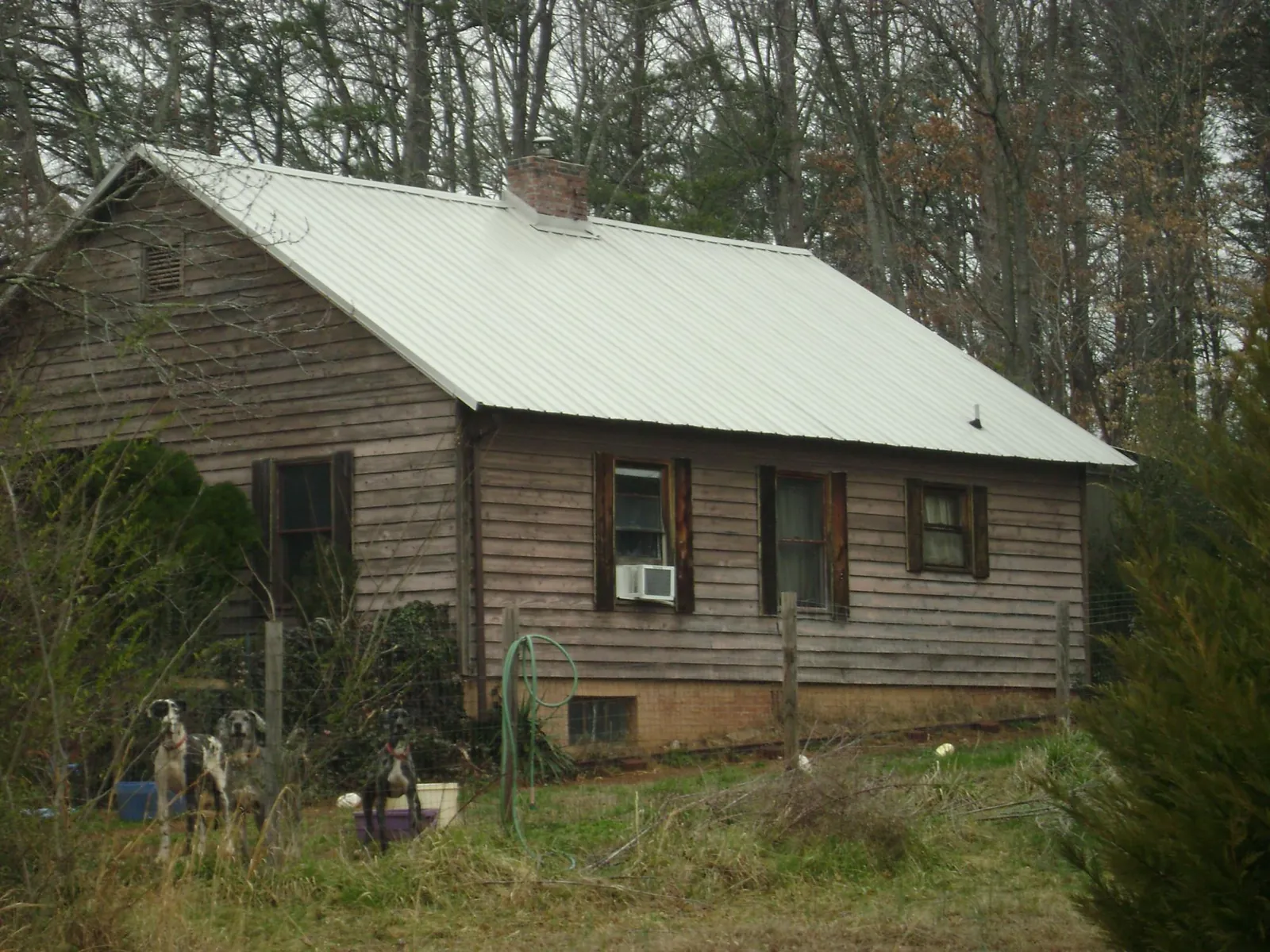 White metal roof on an old wood sided farmhouse, from a Asphalt Shingle Roof Repair job in Laporte
